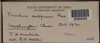 Image Associated With the Occurence
